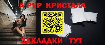 стафф Будённовск