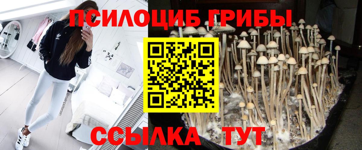 Галлюциногенные грибы мухоморы Ленинск-Кузнецкий