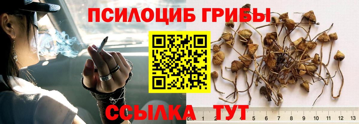 Галлюциногенные грибы Cubensis  Псилоцибиновые грибы Psilocybe  сколько стоит  Вход с VPN  Ленинск-Кузнецкий 